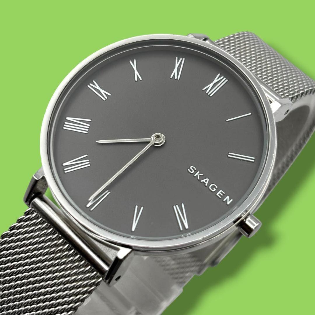 Used [Good Condition, Working Item] Skagen Ladies Watch Roman Waterproof Quartz