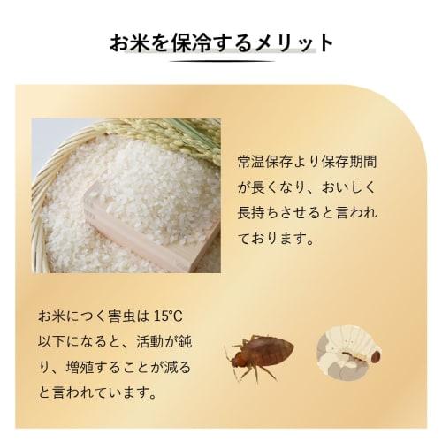 SaiEL Rice Cooler, Refrigerator Compatible, 11kg, 21kg, 31kg Capacity, Rice Storage, Washable, Stylish, Simple, Slim, Washable (SLI-RC11, SLI-RC21)