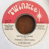 7inch Record TWINKLE BROTHERS  Never Get Burn NG143 Twinkle Music UK Reggae Ska  Dub Used