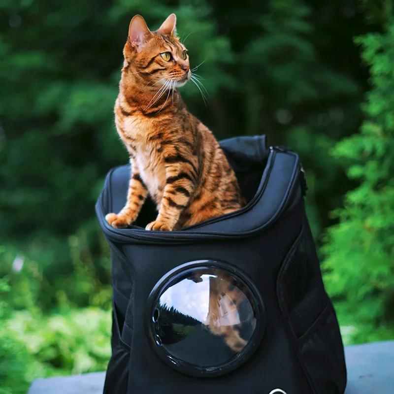Fat Cat Backpack Carrier Denim Pet Backpack with Space Capsule Bubble for Small Medium Cats Puppy Dog Backpack for Travel Hiking