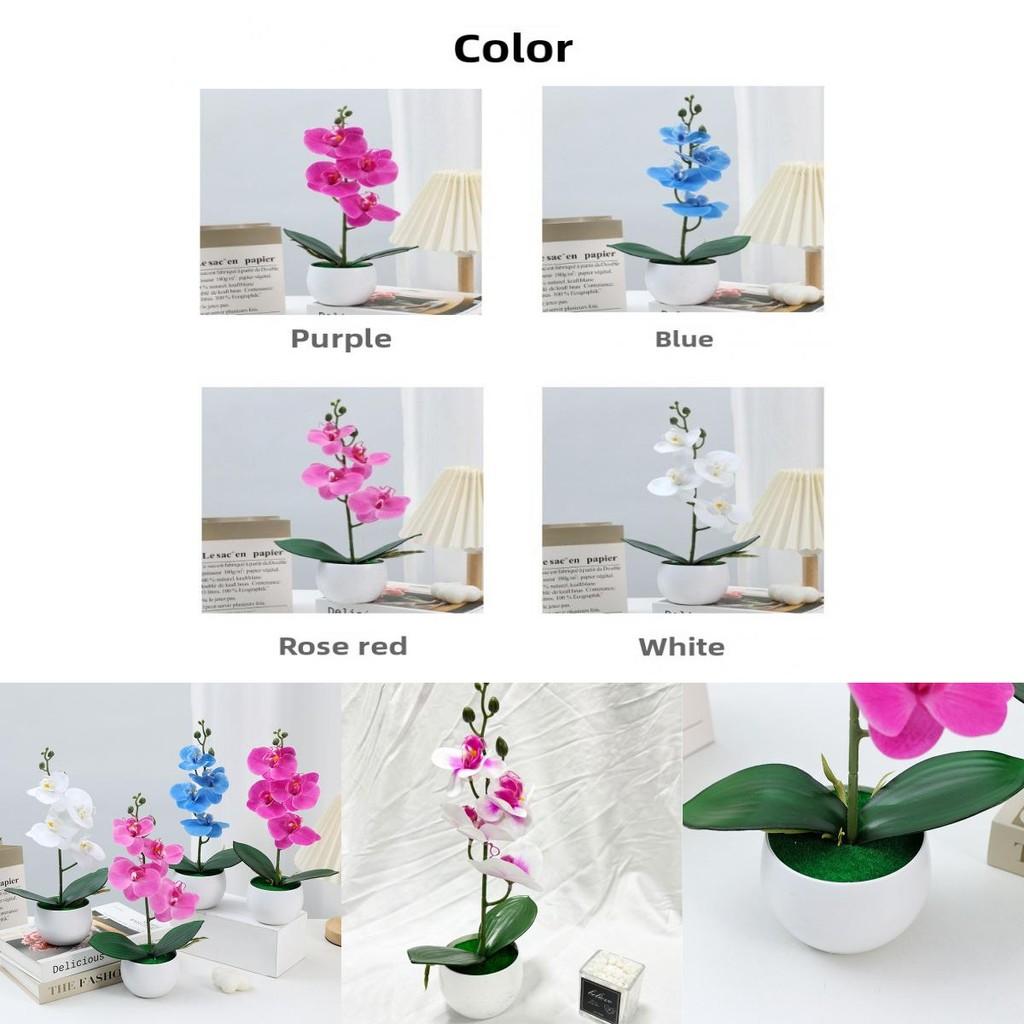 Durable Plastic Butterfly Orchid Fake Plant With Textured Finish For Celebrations And Photo Shoots