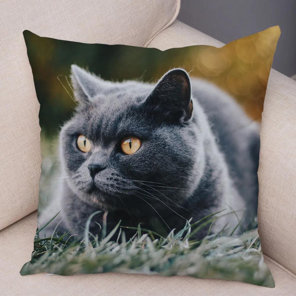 Russian Blue British Shorthair Cushion Cover Decor Cute Cat Pet Animal Pillowcase Soft Plush Pillow Case for Car Sofa Home