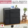 Sanka Modular Case, Freely Combinable Drawer Storage Case, Slim L, Black. Customize Your Storage To Fit Your Lifestyle. Smooth Sliding Drawers with a