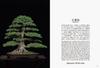 Bonsai Bonsai New Edition
