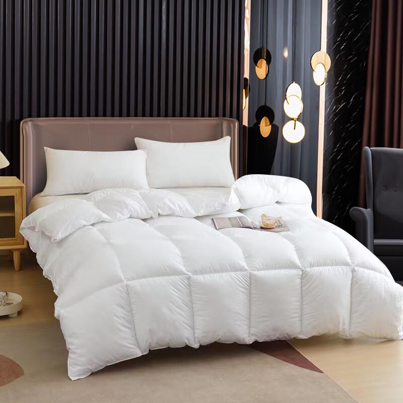 

PAULO PEDRO Microfiber Winter Comforter