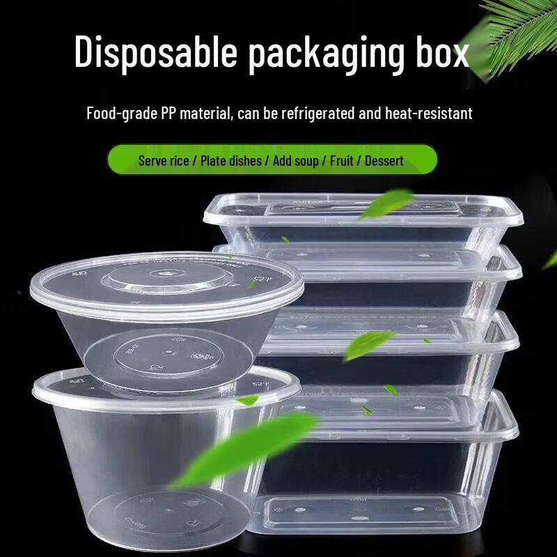 Biaoxing Disposable Food Container