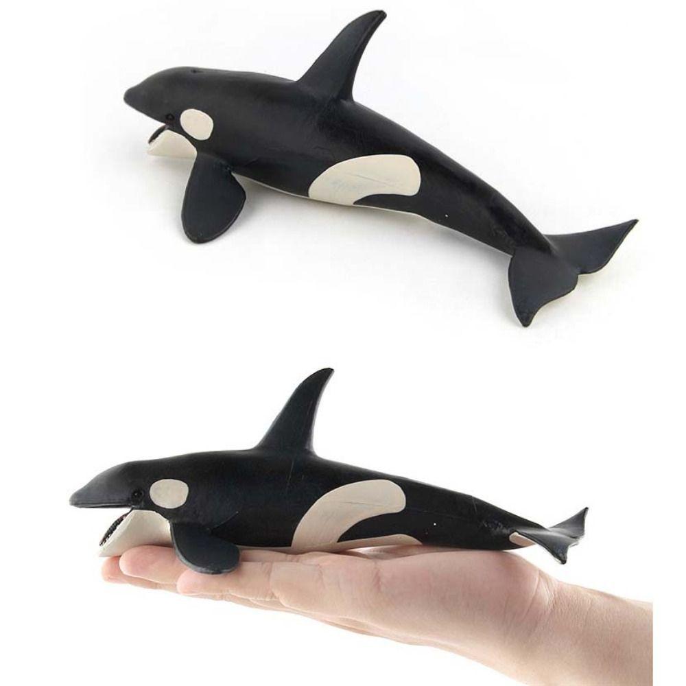 Ocean Animals Marine Animal Model Simulation Sea Life Figure Creative Whale Figurines  Home Decor