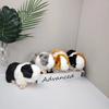Realistic Guinea Pig Plush Toy - Children's Gift Stuffed Animal Soft and Safe for Birthdays