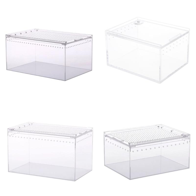 Reptile Box Feeding Small Pet Horned Spider Lizards Snail Snake Clear Designed Box Geckos Silkworms Insect Snake House