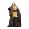 Hasbro Star Wars Black Series Jedi Master Sol, Acolyte, Collectible 6-inch (15cm) Action Figure G0013, Authentic