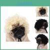 Adorável Peruca Preta Para Animal de Estimação Com Estilo Afro Divertido Para Festas de Halloween e Festivais