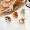 Hollow Out Pumpkin Grab Clip Acetate Retro Mini Hair Claw  Hair Accessories