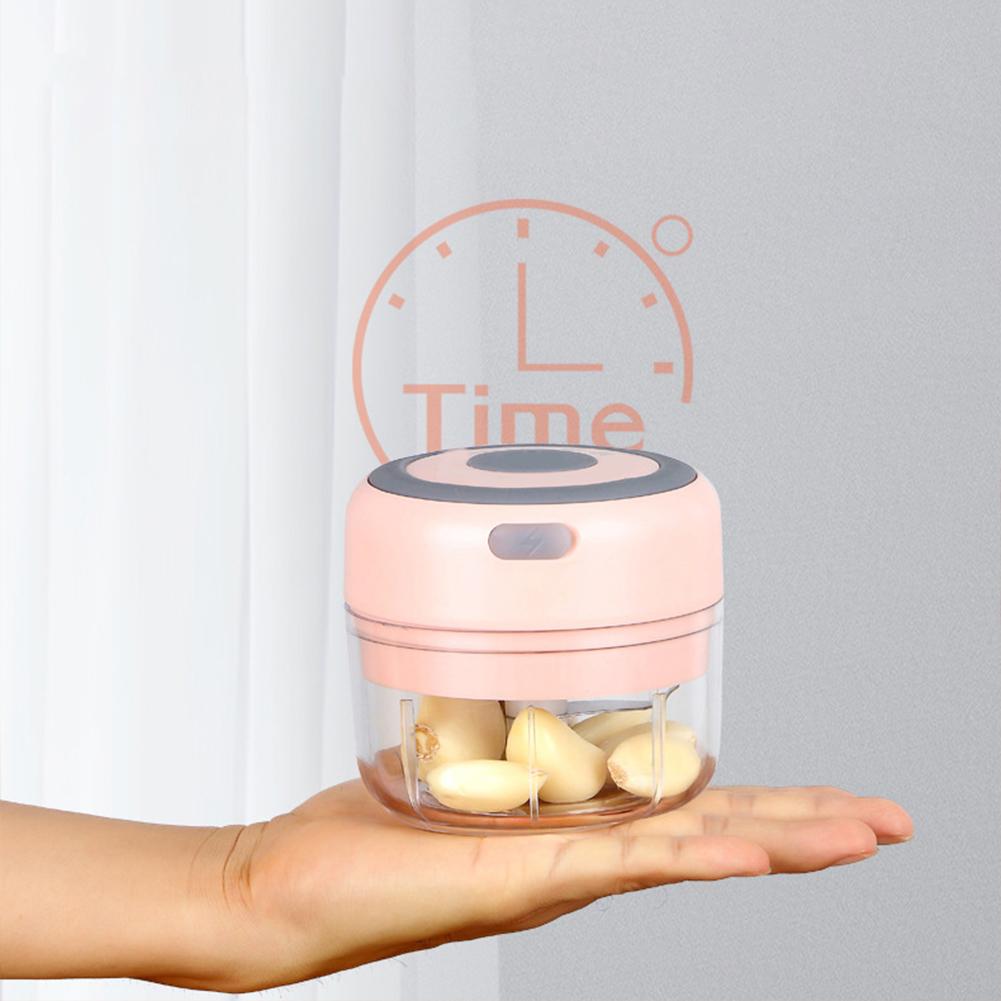 Electric Garlic Chopper, Mini Portable Veggie Chopper, 100ML/250ML USB Vegetable Onion Processor With Magnetic Safety Lock For Ginger Fruit Meat Chili