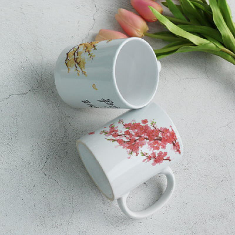 tb987-Design Mug 2p-Blooming Spring