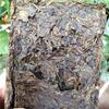 Yunnan Old Tree Pu-erh Tea 250g Pu'er Tea Brick Golden Leaf Puerh Sheng Tea