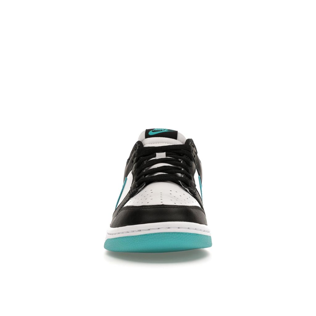 Nike Dunk Low Black Dusty Cactus Unisex Sneakers White DV0833-109