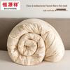 Hengyuanxiang Antibacterial Brushed Warm Quilt