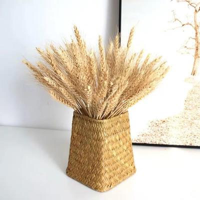 50pcs Natural Dried Wheat Stalks Rustic Elegance Dry Wheat Spikes DIY Craft Dried Flowers Home Kitchen Decoration