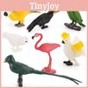 Kids Wild Bird Replica Pvc Educational Toy For Science Projects And Gift