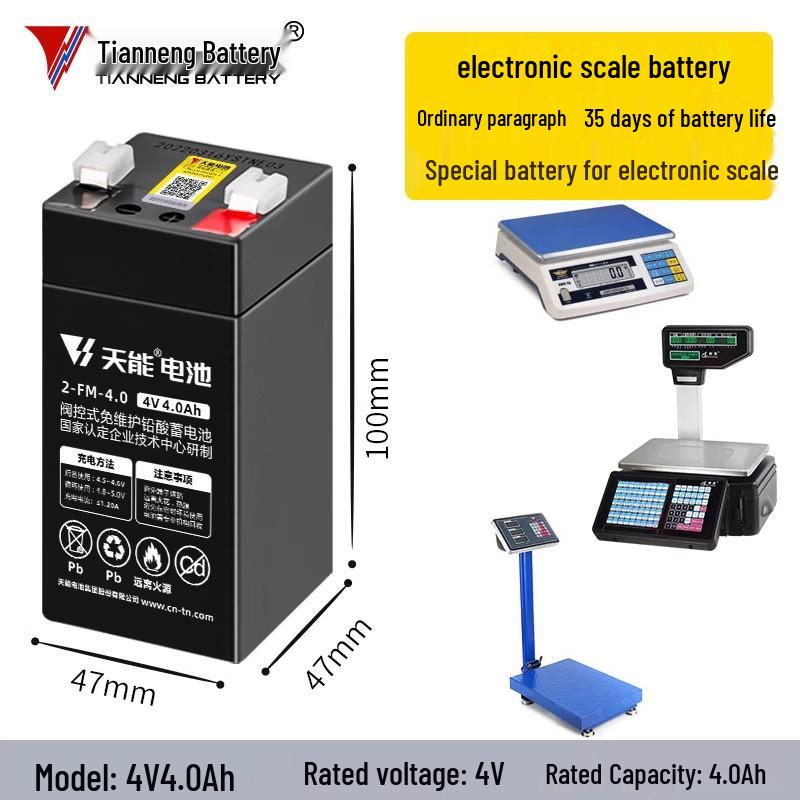 Tianneng 4V/6V Universal Commercial Scale Battery & Charger