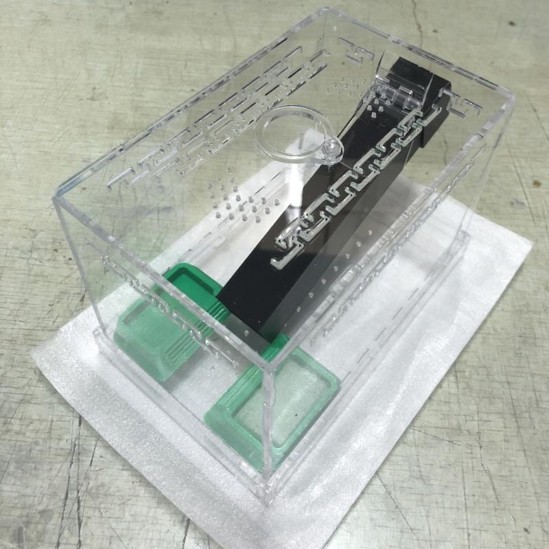 Spacious Cricket Keeper Enclosure Large Capacity With Feeding Tubs And Hide Tube