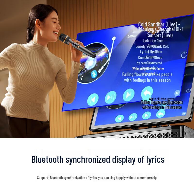 SAST Home KTV Karaoke System with Display CN plug (adapter included) (CN version)