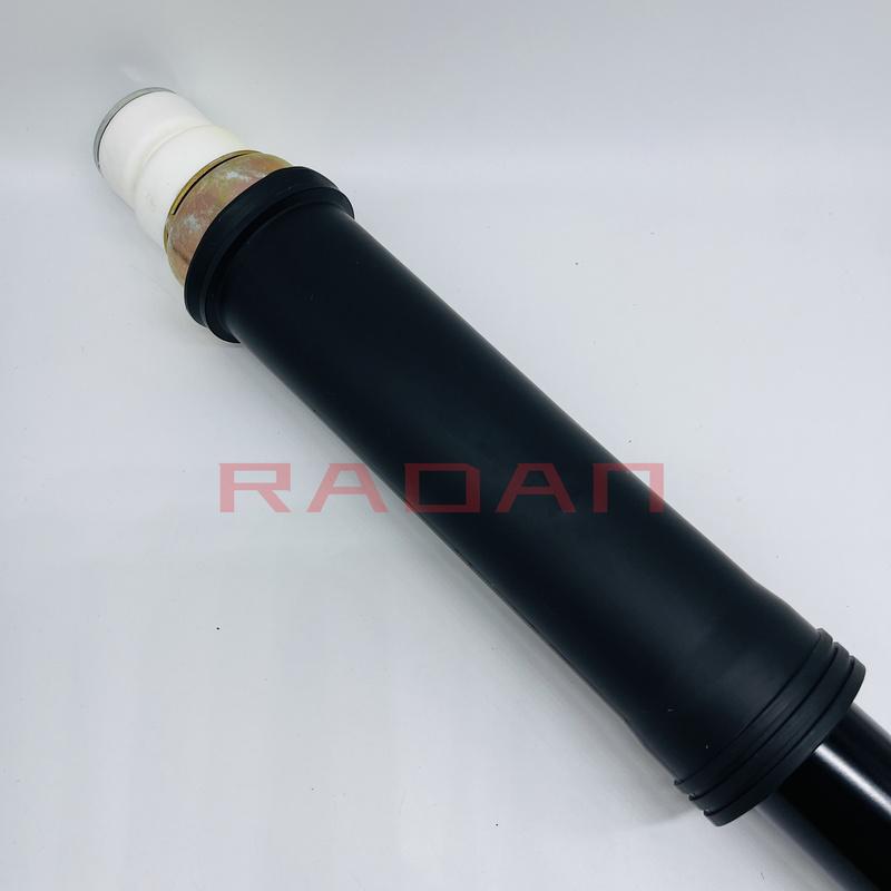 Rear Shock Absorber Assembly For JAC Rein 2915010U1010