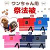 Space Hobby Dog Happi Coat, Matching with Human Festival Coat, Available In Various Colors, for Small Dogs, Includes Leash, Jumpsuit Pattern (Navy)