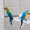 PVC Bird Bath Shower Bathing Perch Stand with Suction Cup for Parrot Macaw