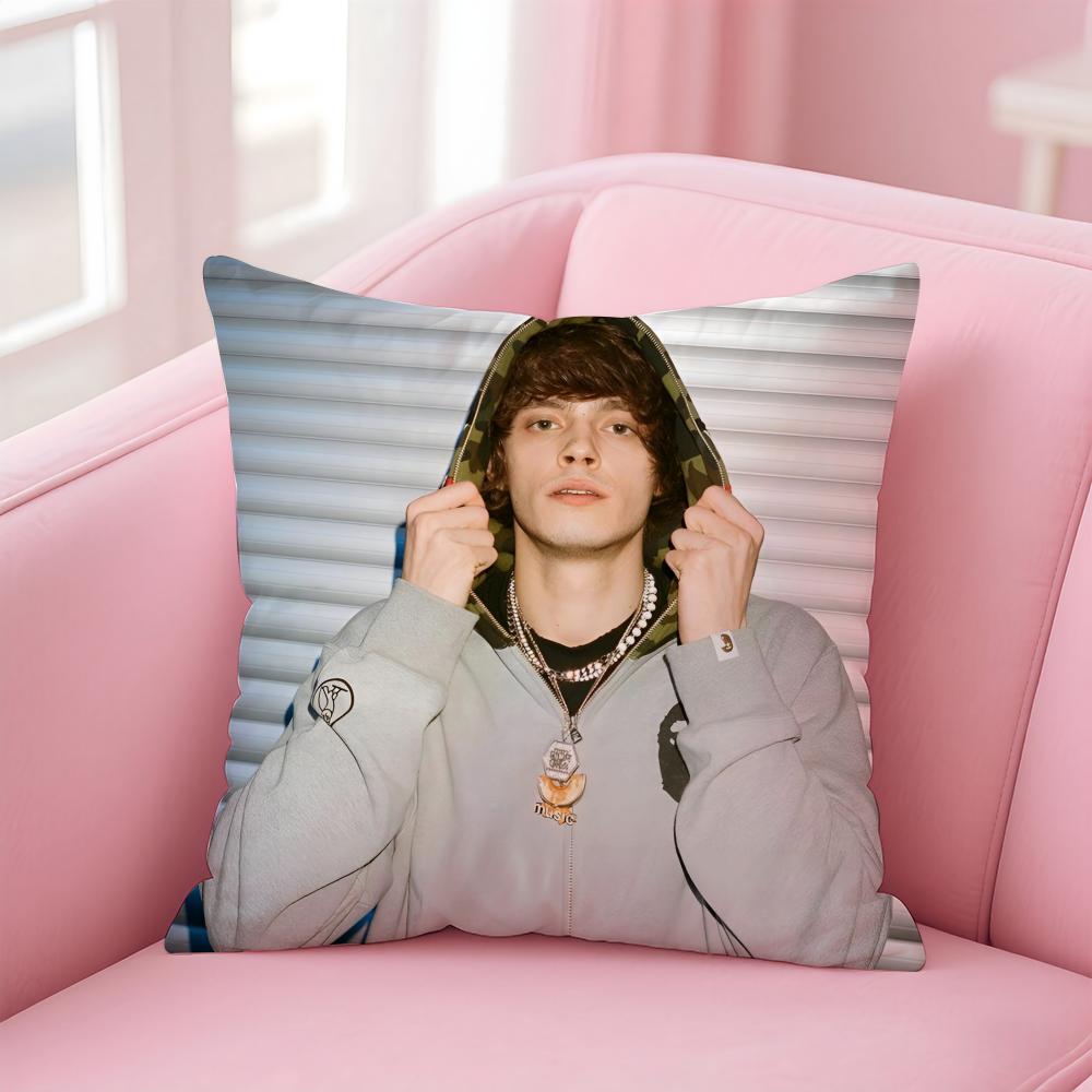 

Hot Singer OOg Buda Russia Cushion Cover Pillowcase Short Plush Invisible zipper Room Sofa Cushion Cover 30X30cm