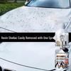 Astree Car Paint Bug & Sap Remover