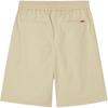 Levis Comfortable Solid Color Simple Mid-Rise Casual Shorts Men Shorts 003I0-0001