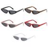 Unique Small Frame Cat Eye Sunglasses for Women Trendy UV Protection Triangle Shades Hip-Hop Sun Glasses Fashion Eyewear