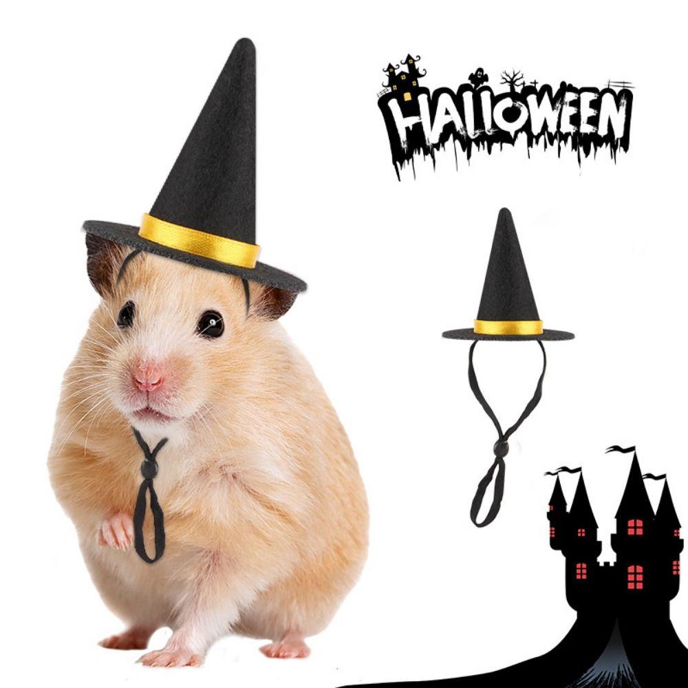 Soft Lizard Witch Costume Set Comfortable Mini Hamster Witch Hats Costume Outfits