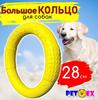 Chiens – Jouets pour chiens