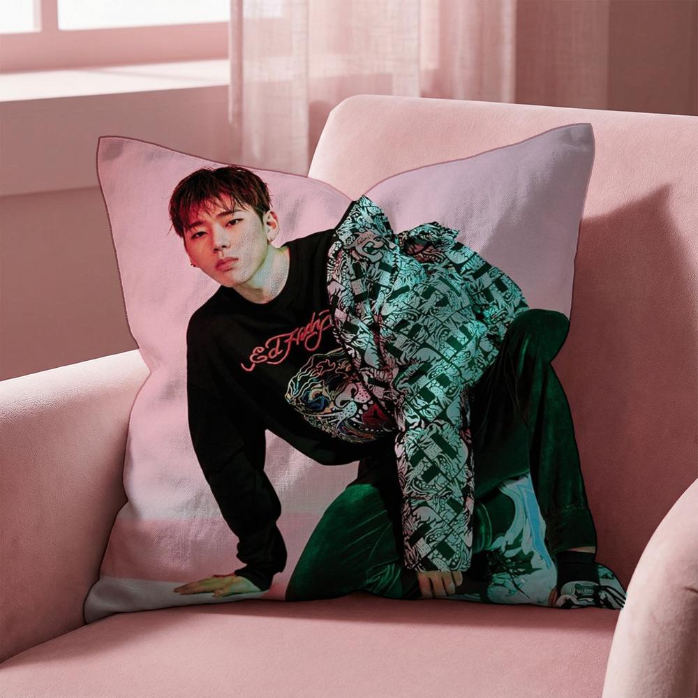 Z-ZICO SINGER Cushion Cover Multi-Scene Pillow Cover for Home & Car - Reversible, Soft & Durable for Daily Use