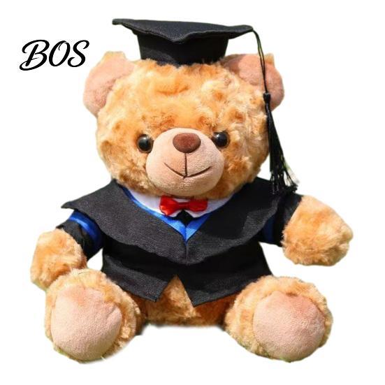 Luxury Gift Packaging Bear Personalized Graduation Gifts 2026 for Her, Cute Teddy with Embroidered Gown Award And Cap, Soft Plush Mascot College High