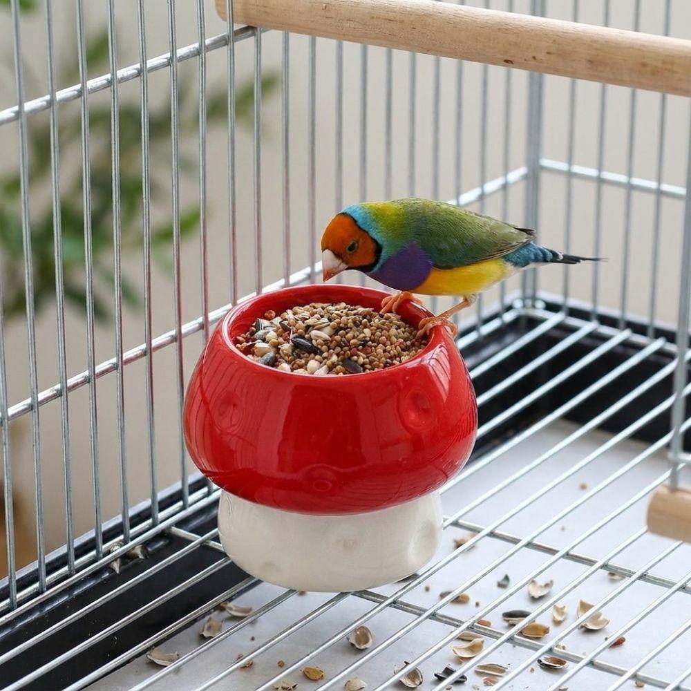 Ceramic Parrot Food Bowl Large Capacity Feeding Station Bird Water Bowl  Balcony Use