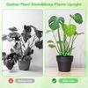 Plants Flowers Stem Support Stakes Climbing Plant Stand Frame Fixing Clips Trellis Reusable Plant Stem Frames Holder Rack Hoops
