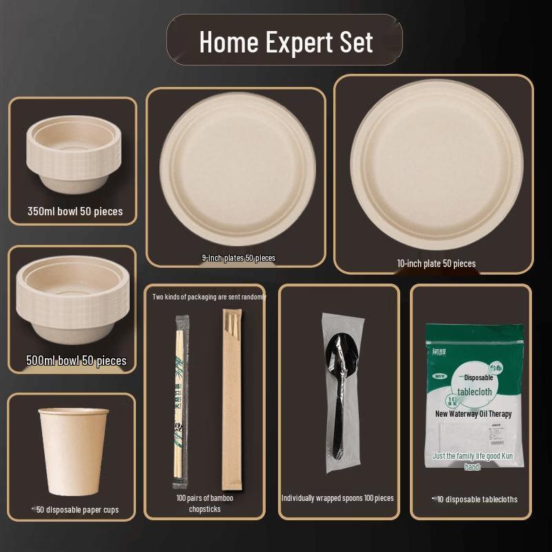 Disposable Dinnerware Set