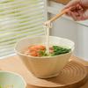 Cream Style Ceramic Noodle Bowls