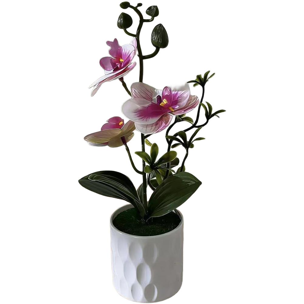 

Plastic Orchid Arrangement Designed to Complement Both Daylight and Artificial Illumination Without Glare or Washout