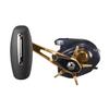 Daiwa Kibait Reel with Counter Tierra LJ IC200HL