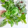 Artificial Green Plants, Home Decor Fake Plants Green Leaves Home Garden Room Decoration Wedding Decor