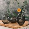 Elegant Mini Light Luxury Glass Vase Set: Creative Desktop Decor for Fresh Flowers In Living Rooms