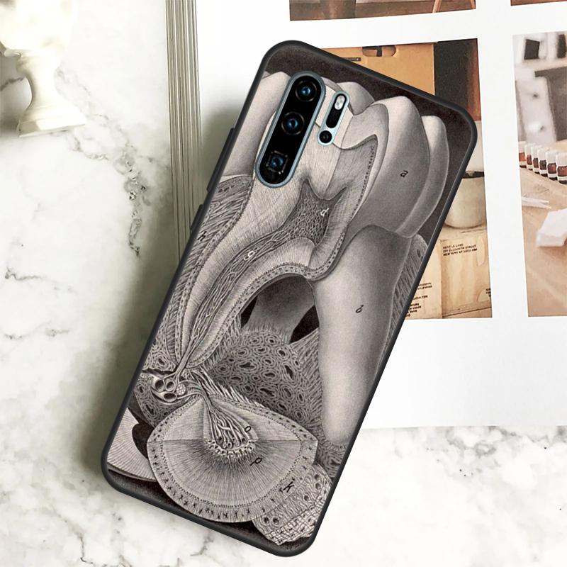 Human Tooth Anatomy For Huawei Nova 7i 8i 11i 12i 12s Y73 Y70 Y90 Y60 Y72 Y61 Y91 9 10 SE P40 Lite P30 Pro Case