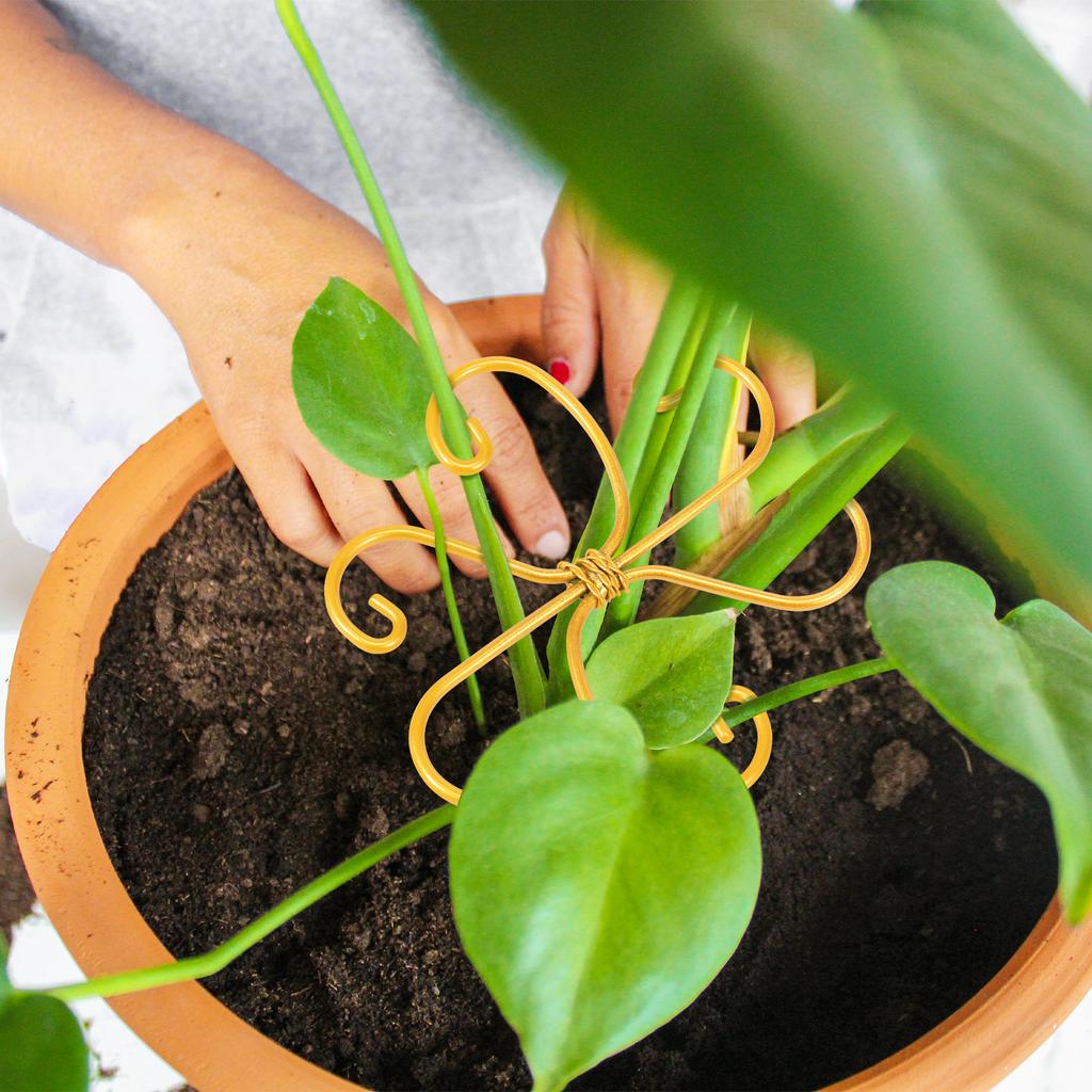 5/6Pcs Plant Stem Support Metal Stem Grapple Holder Reusable Secured Plant Clips For Climbing Plants To Grow Upright Healthier