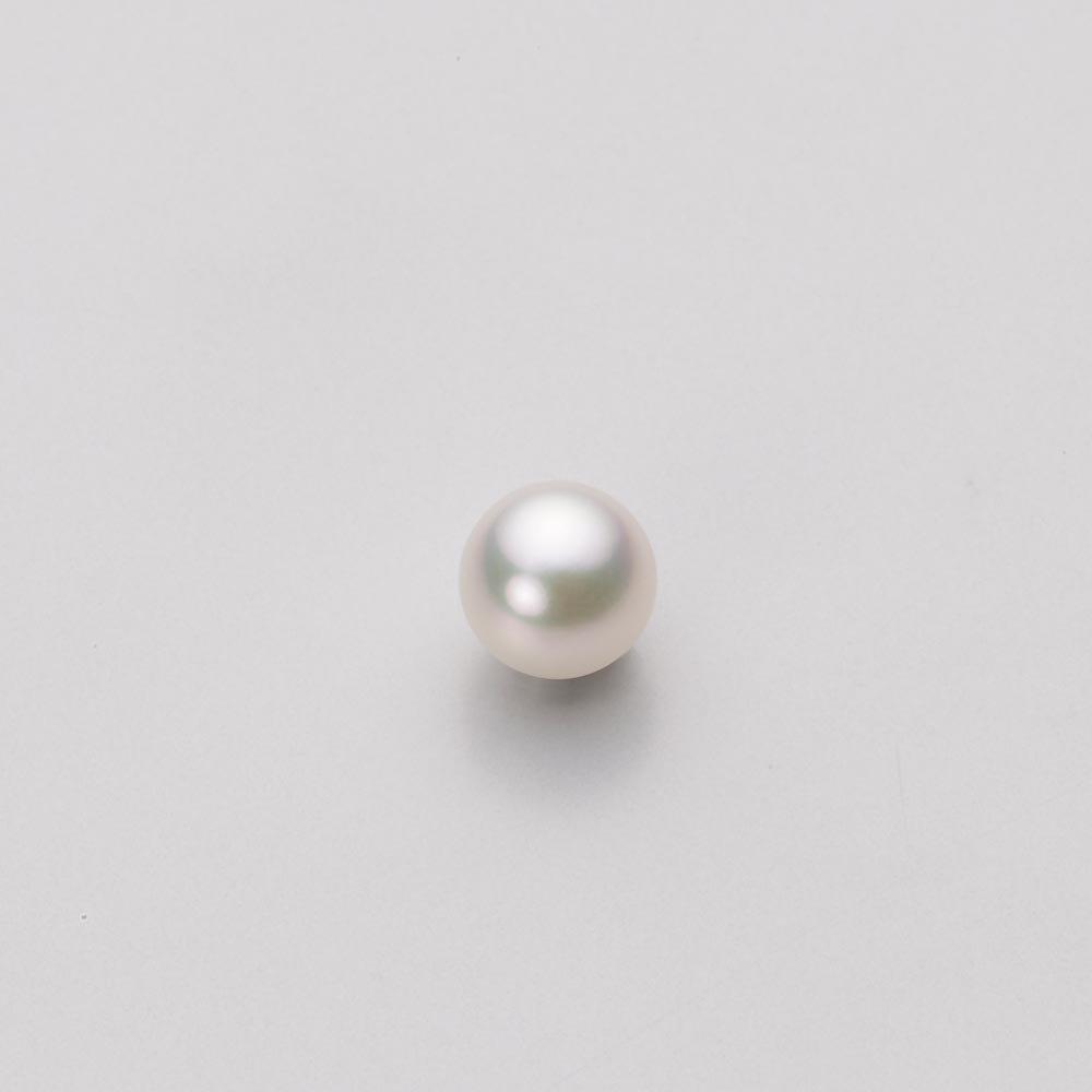 Akoya Pearl Earrings In 18K Gold for HA00050R13CW0PA03Y 5.0mm Women, [Gift Wrapped]