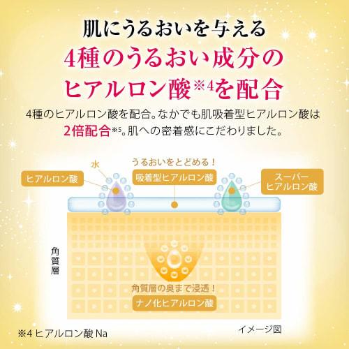 Hada Labo Nougokujun All-in-one Perfect Gel 100g x 2 set + Gokujun sachet included