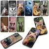 Schwein Wildschwein Wolf Handyhülle Case für Samsung Galaxy S25 S24 S22 S23 FE Ultra Plus A56 A05 A06 A15 A16 A55 S7 Edge Hülle